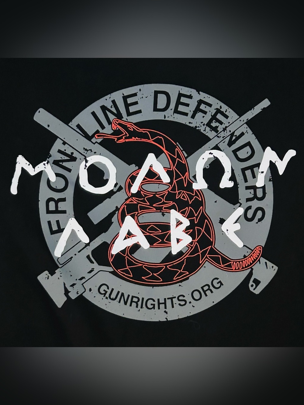 Frontline Defenders Gadsden Snake Molon Labe Graphic Tee - Black & Red